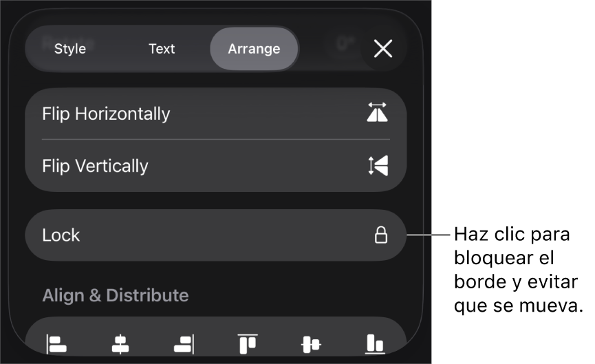 Controles de Disposición en el menú Formato con el botón Bloquear señalado.