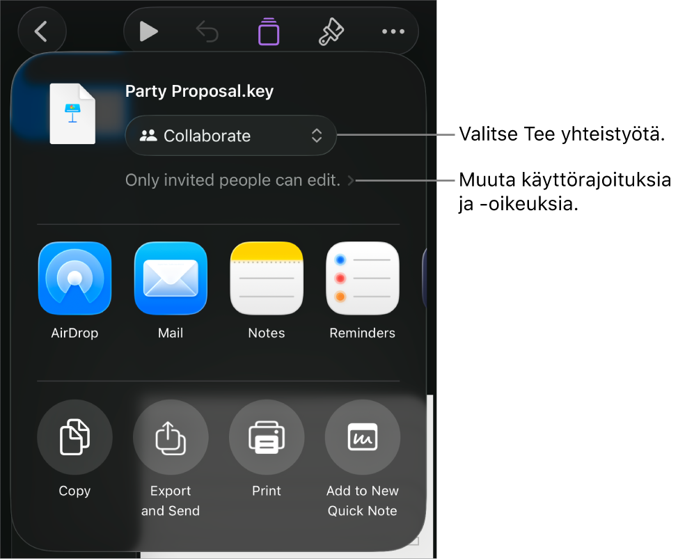 Jaa-valikko, jossa on ylhäällä valittuna Tee yhteistyötä, ja sen alla ovat käyttöoikeus- ja lupa-asetukset.