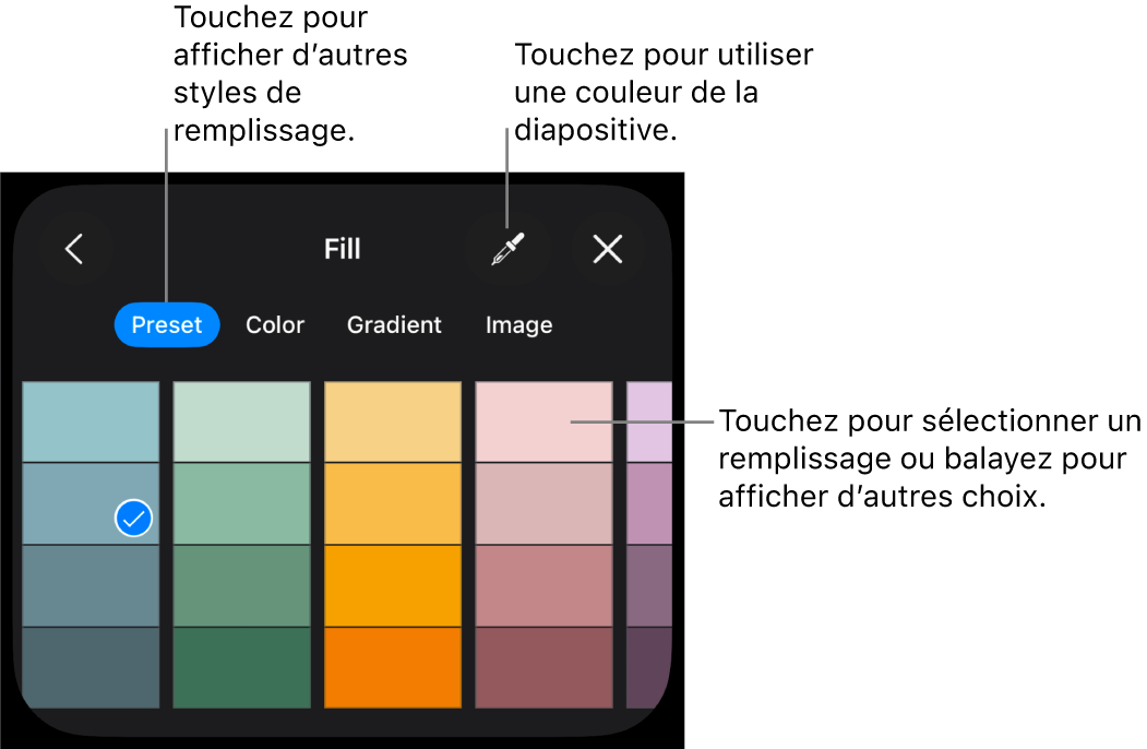 Options de remplissage dans l’onglet Style.