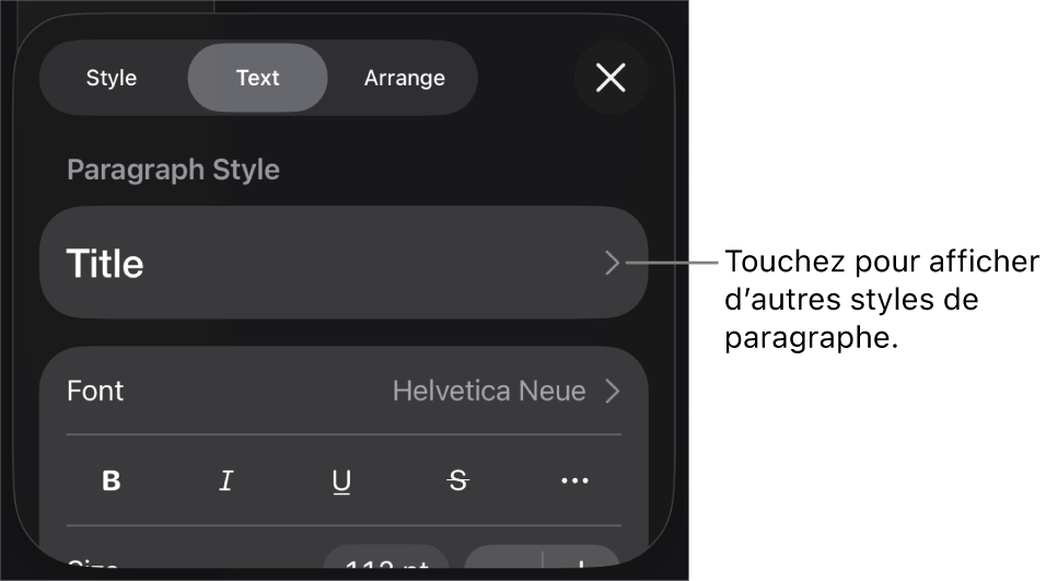 Menu Format avec commandes de texte permettant de définir les styles, la police, la taille et la couleur des paragraphes et des caractères.