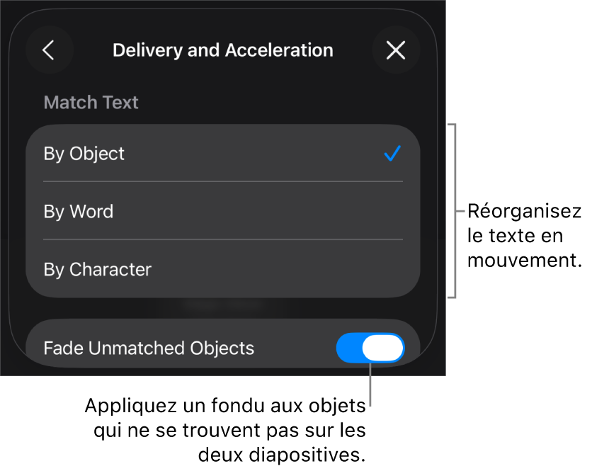 Options d’apparition et d’accélération Métamorphose dans la sous-fenêtre Accélération.