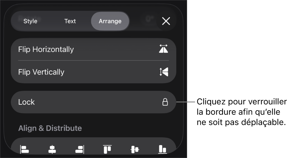 Les commandes Disposition dans le menu Format avec le bouton Verrouiller en évidence.