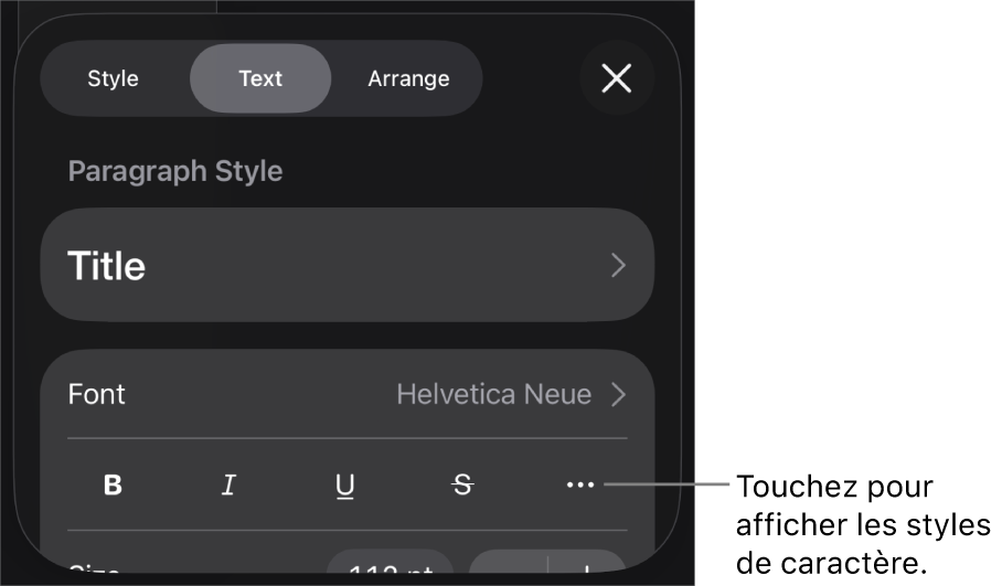 Les commandes de Format avec les styles de paragraphes en haut, puis les commandes de Police. Sous Police se trouvent les boutons Gras, Italique, Souligné, Barré et Plus d’options de texte.