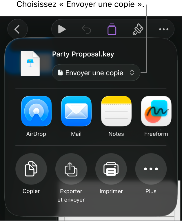 Le menu Partager avec l’option Envoyer une copie sélectionnée en haut.