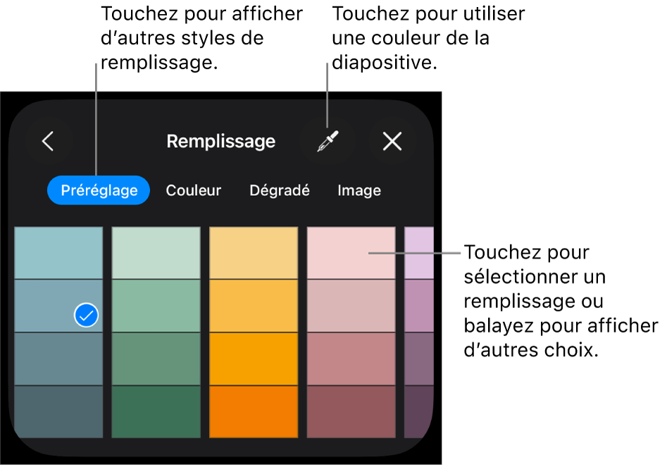 Options de remplissage dans l’onglet Style.