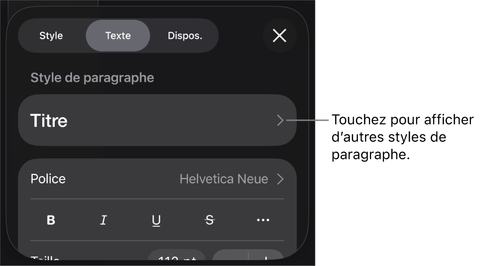 Menu Format montrant les commandes de texte permettant de définir les styles, la police, la taille et la couleur des paragraphes et des caractères.