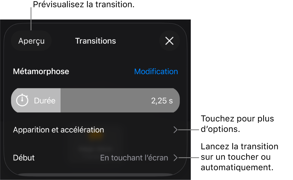 Commandes Métamorphose de la sous-fenêtre Transitions.