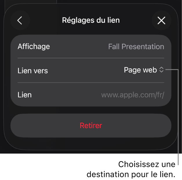 Les commandes « Réglages du lien » avec une page web sélectionnée et le bouton Supprimer en bas.