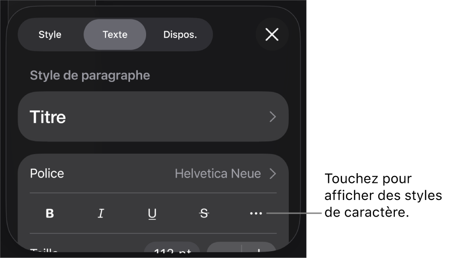 Les commandes de mise en forme avec les styles de paragraphe en haut, suivis des commandes de police. En dessous de Police se trouvent les boutons Gras, Italique, Souligné, Barré et « Plus d’options de texte ».