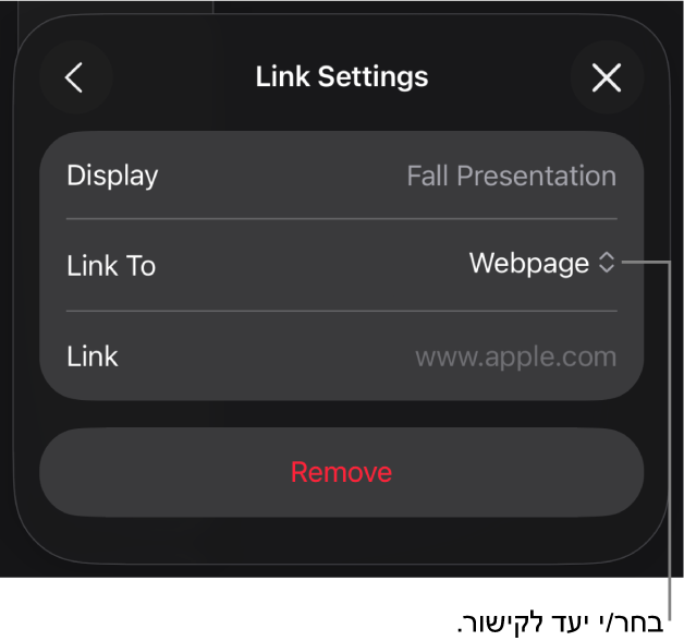 כלי הבקרה של ״אפשרויות קישור״ כאשר האפשרות ״עמוד אינטרנט״ נבחרת ובחלק התחתון מוצג הכפתור ״הסר״.