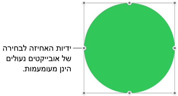 אובייקט נעול עם ידיות בחירה מעומעמות.