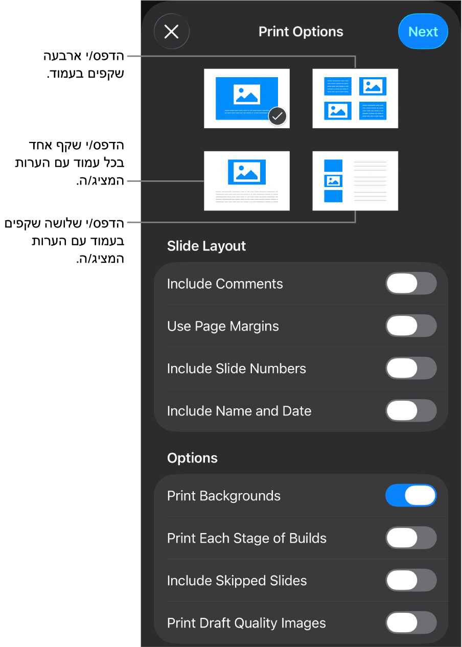 אפשרויות פריסת הדפסה.