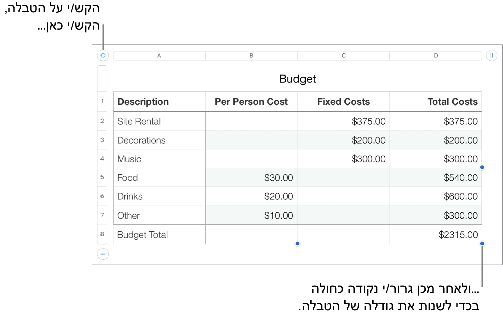 טבלה שנבחרה, עם נקודות כחולות לשינוי גודל.