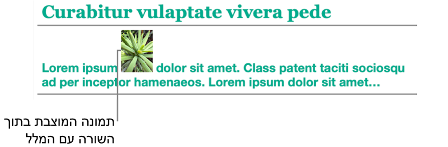 תמונה ממוקמת בתוך השורה עם המלל.
