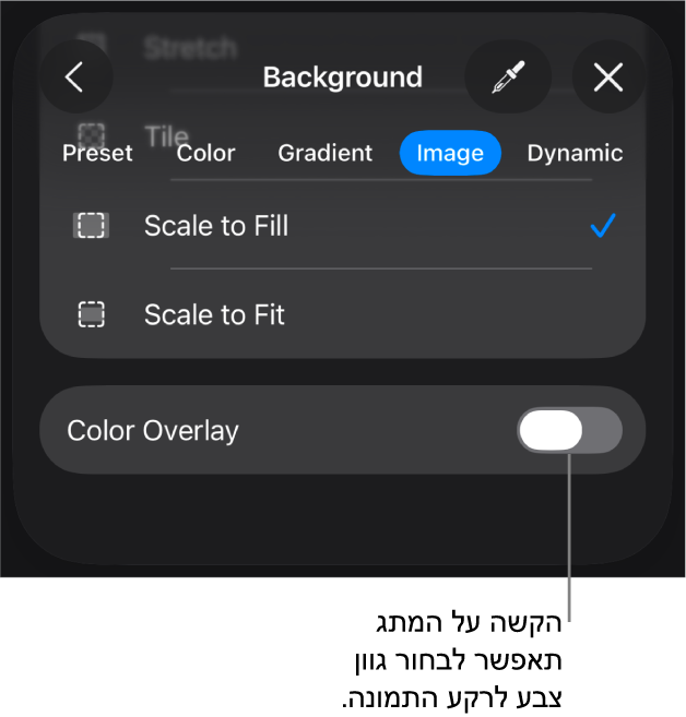 כלי הבקרה של ״רקע״, עם תמונה שמוגדרת כרקע של השקף. בחלק התחתון נמצא כלי הבקרה ״כיסוי בצבע״.