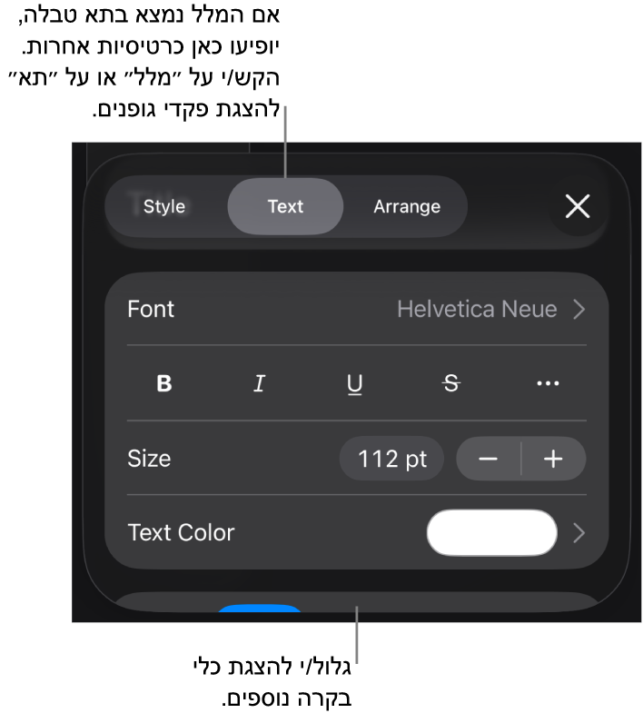 כלי בקרה של מלל בתפריט ״עיצוב״ להגדרת סגנונות, גופן, גודל וצבע עבור פיסקאות ותווים.