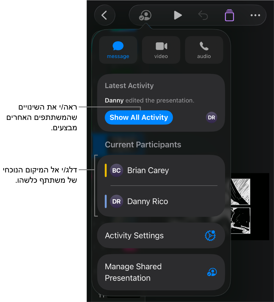 תפריט ״שיתוף פעולה״ שרואים בו משתתפים פעילים כעת.