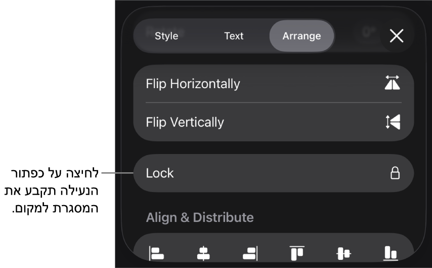 כלי הבקרה של ״ארגון״ בתפריט ״עיצוב עם הסבר לגבי הכפתור ״נעל״.