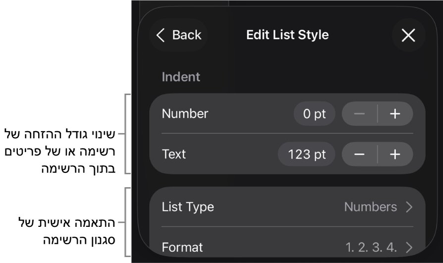 התפריט ״ערוך סגנון רשימה״ עם כלי בקרה לעריכת סוג הרשימה והמראה שלה.