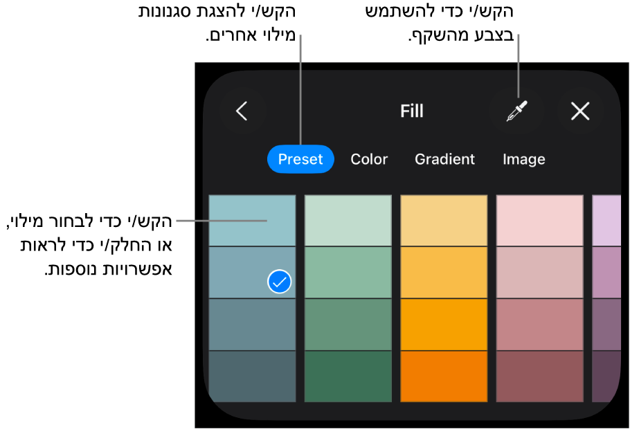 אפשרויות מילוי בכרטיסיה ״סגנון״.