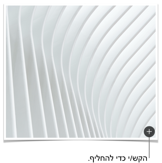 תמונה עם הכפתור ״החלף תמונה״.