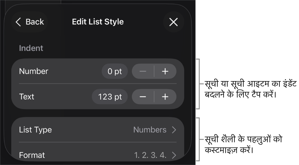 संपादन सूची शैली मेनू जिसमें सूची के प्रकार और प्रकटन को संपादित करने के लिए नियंत्रण हैं।
