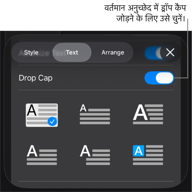 ड्रॉप कैप नियंत्रण टेक्स्ट मेनू के नीचे होते हैं।