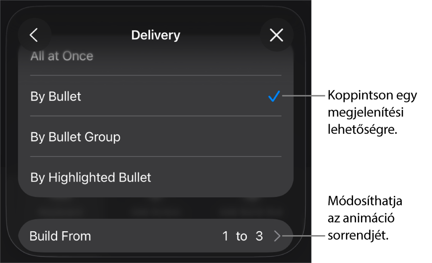 Végrehajtási beállítások a Belépés panelen.