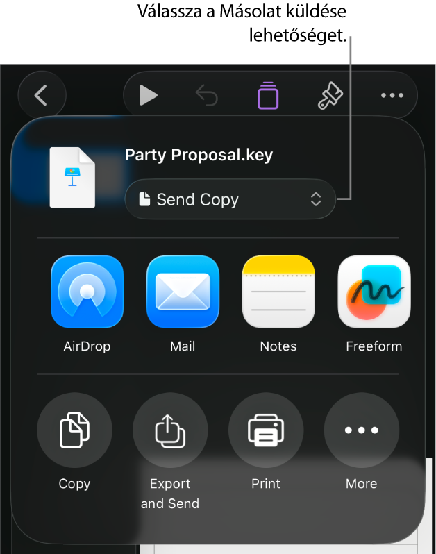 A Megosztás menü a felül elhelyezkedő Másolat küldése lehetőséggel.