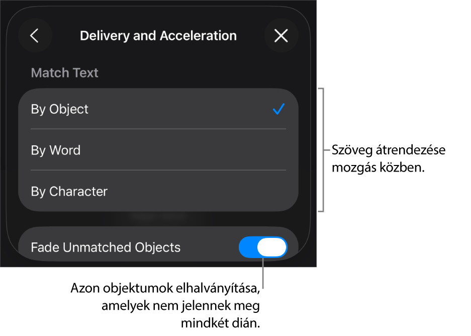 A Varázsmozgás végrehajtás és gyorsítás beállításai a Gyorsítás panelen