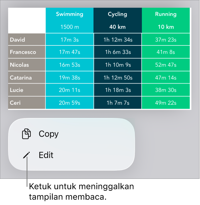 Tabel dipilih, dan di bawahnya terdapat menu dengan tombol Salin dan Edit.