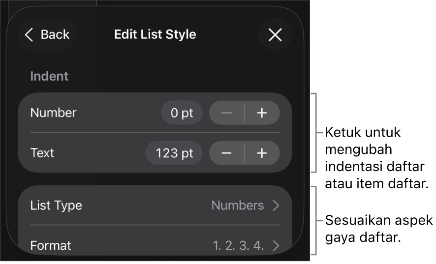 Menu Edit Gaya Daftar dengan kontrol untuk mengedit jenis dan tampilan daftar.