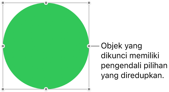Sebuah objek yang terkunci dengan pengendali pilihan yang diredupkan.