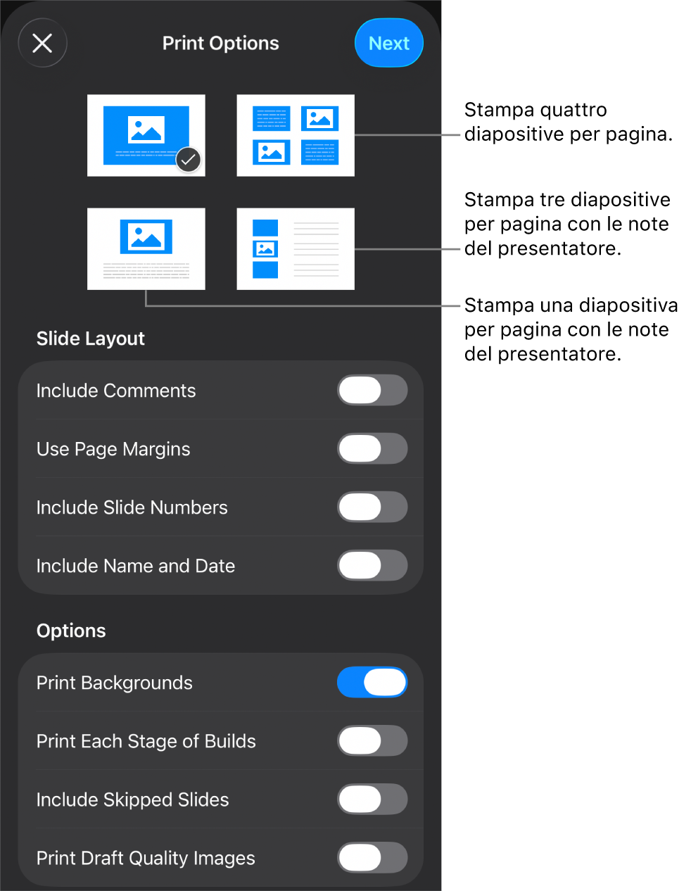Opzioni layout di stampa.