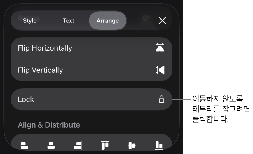 잠그기 버튼이 강조 표시된 포맷 메뉴의 정렬 제어기.