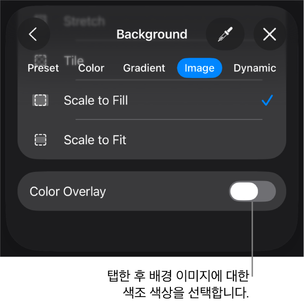 이미지가 슬라이드 배경으로 설정되고 하단에 색상 오버레이 제어기가 있는 배경 제어기.