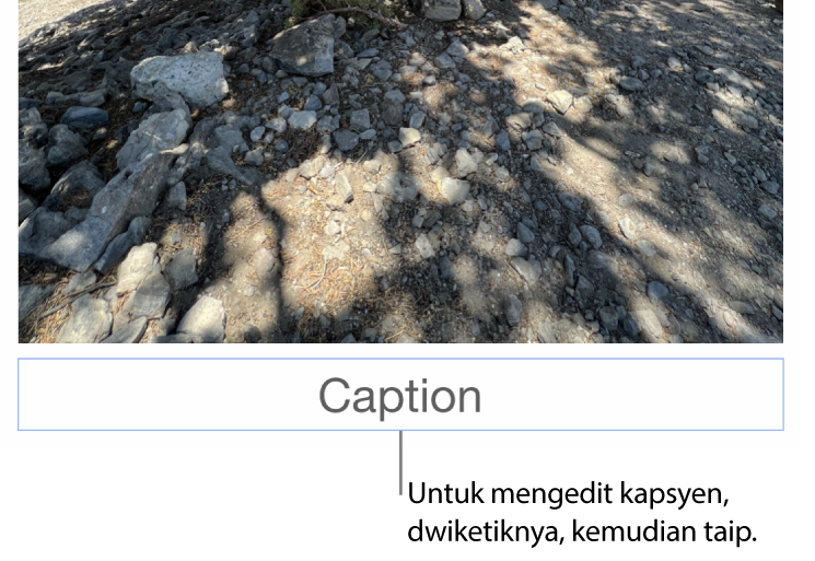 Kapsyen ruang letak, “Kapsyen”, kelihatan di bawah foto, garis kasar biru di sekeliling medan kapsyen menunjukkan ia telah dipilih.