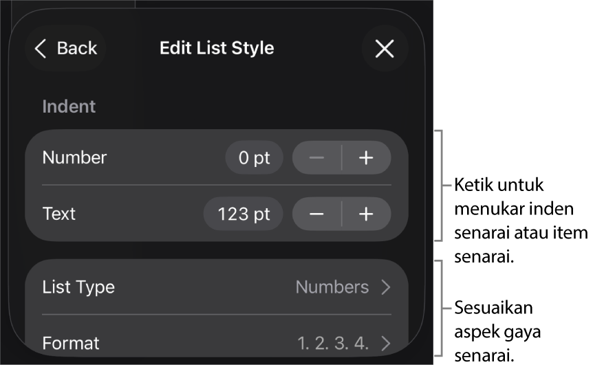 Menu Edit Gaya Senarai dengan kawalan untuk mengedit jenis dan penampilan senarai.