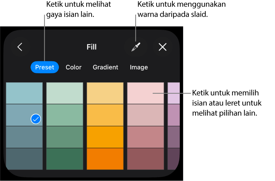 Pilihan Isian dalam tab Gaya.
