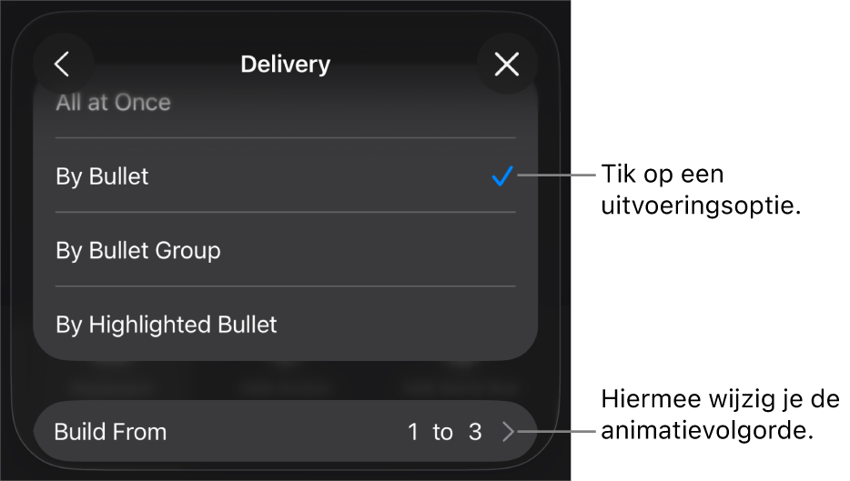 Uitvoeringsopties in het paneel 'Animatie in'.