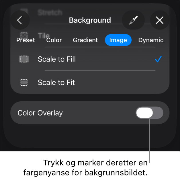 Bakgrunn-kontroller med et bilde angitt som lysbildebakgrunn og Fargeoverlegg-kontrollen nederst.