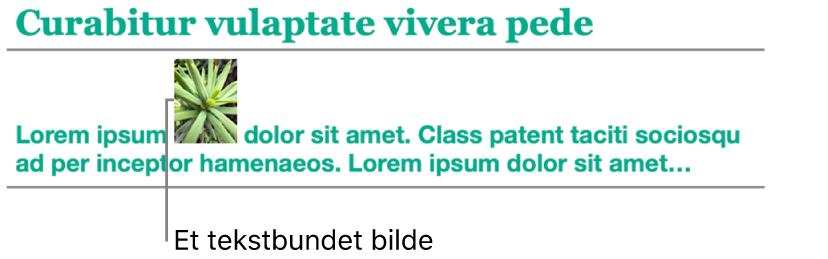 Et bilde plasseres bundet til teksten.
