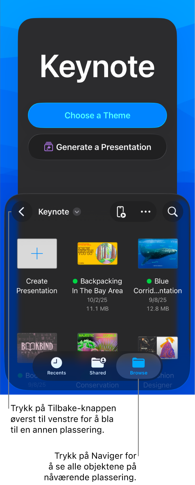 Dokumenthåndtereren med knapper for å velge et tema og starte en presentasjon fra en disposisjon på øvre halvdel av skjermen, og arkiverte presentasjoner nederst.