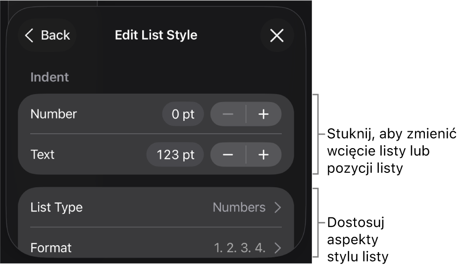 Menu Edycja stylu listy z narzędziami umożliwiającymi edycję typu i wyglądu listy.
