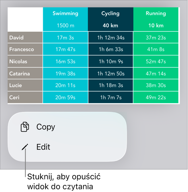Zaznaczona tabela z widocznym poniżej menu zawierającym przyciski Kopiuj oraz Edycja.