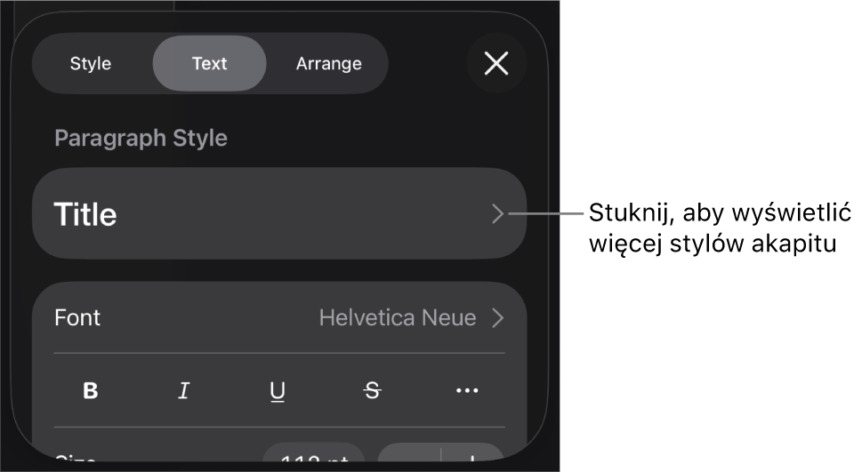 Menu Format z narzędziami tekstu pozwalającymi na ustawianie stylów akapitu, stylów znaków, czcionki, wielkości oraz koloru.