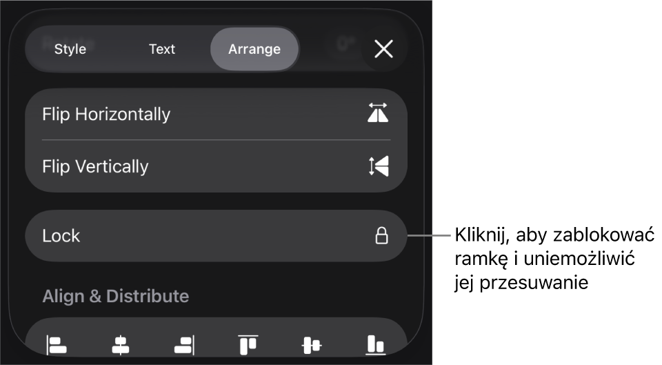 Narzędzia Uporządkuj w menu Format z wyróżnionym przyciskiem Blokuj.