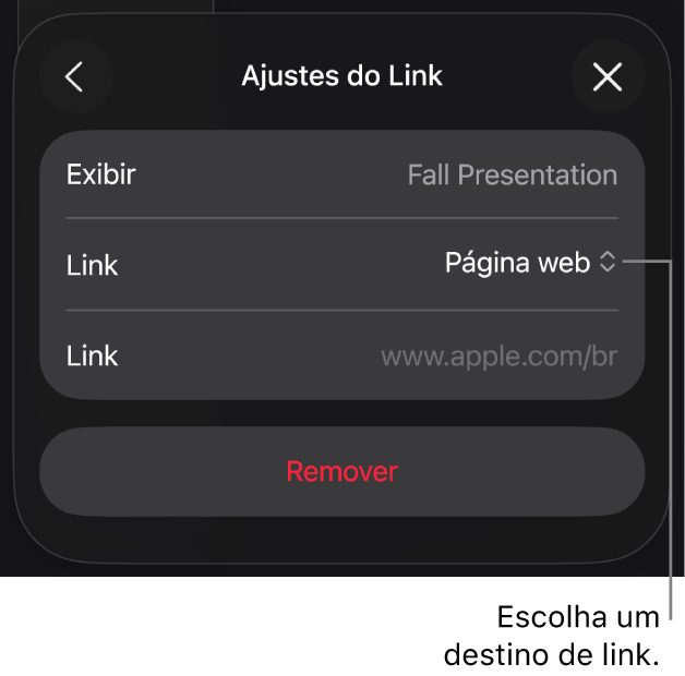 Controles de “Ajustes do Link” com Página Web selecionado e o botão Remover na parte inferior.