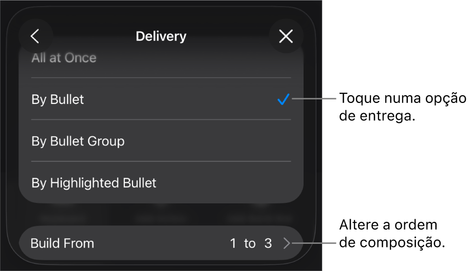 Opções de execução no painel “Entrada”.