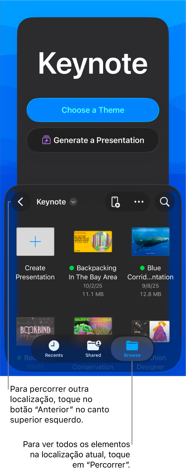 O gestor de documentos com botões para escolher um tema e iniciar uma apresentação de um esboço na metade superior do ecrã e o navegador de documentos com uma apresentação partilhada na parte inferior.